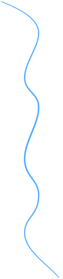 Curve About Us