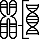 chromosome-128